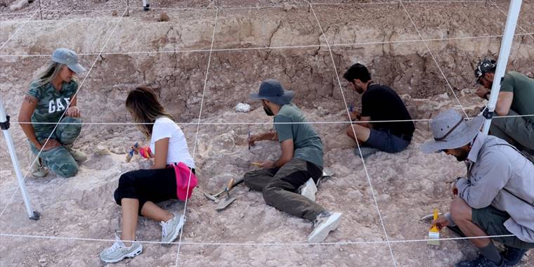 Milyonlarca yıl öncesine ait fosiller uluslararası projeyle yeniden tarihlendirilecek