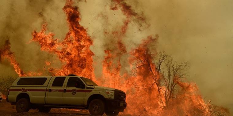 Kaliforniya’da orman yangınları sürüyor