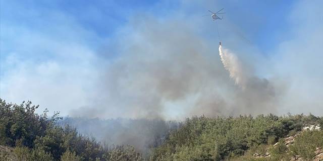 Mersin'de orman yangını çıktı