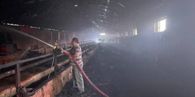 Kulu'da besihanede çıkan yangın hasara neden oldu