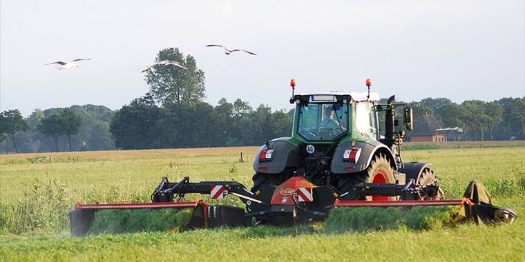 Almanya'da tarım ürünleri üretici fiyatları temmuzda yıllık 33,4 arttı
