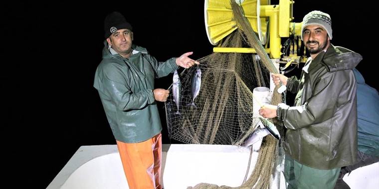 Karadeniz'de uzatma ağları palamutla doldu
