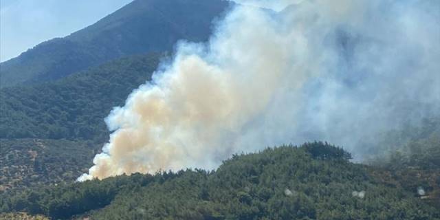 İzmir Kemalpaşa'da çıkan orman yangınına müdahale ediliyor