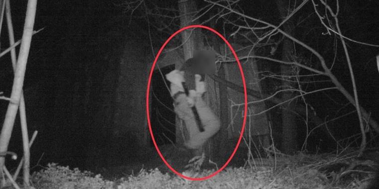 Kayseri'de jandarma fotokapan sayesinde 35 şüpheliyi yakaladı