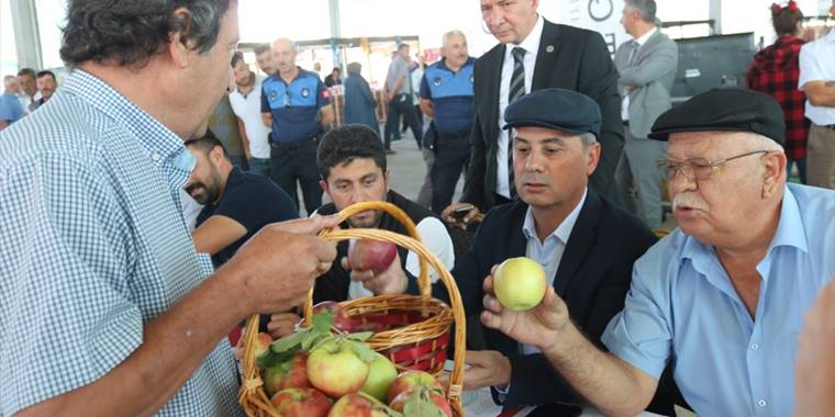 Gölbaşı'nda elma ve domates yetiştiriciliği yarışması düzenlendi