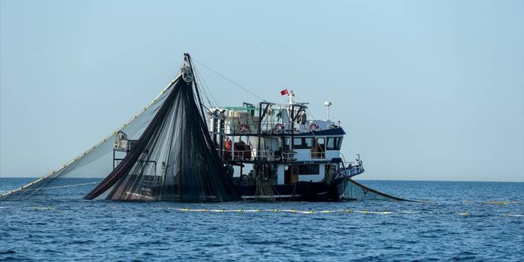 Balıkçıların palamut mesaisi sürüyor