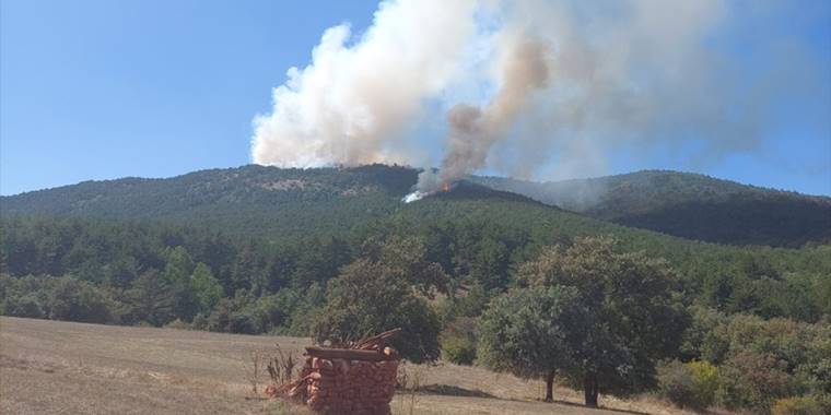 GÜNCELLEME - Eskişehir'de çıkan orman yangınına müdahale ediliyor