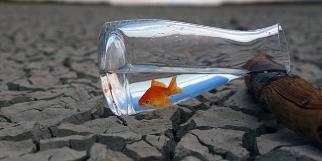 Geçmişte bölgesel yaşanan kuraklık günümüzde küresel hale geldi