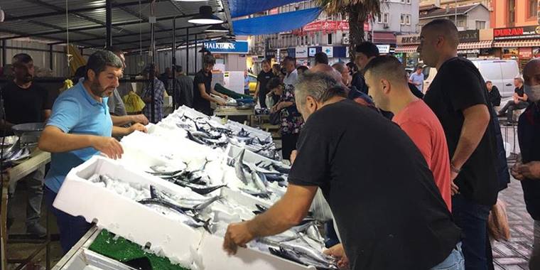 Zonguldak'ta palamut bolluğu tezgahlardaki fiyatlara yansıdı