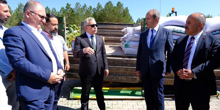 Sivas Cumhuriyet Üniversitesi çiftçilere yerli tohumluk buğday dağıttı