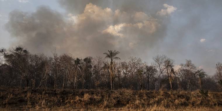 Brezilya Amazonları'nda bu yıl çıkan orman yangınları 2021'in tamamını geride bıraktı