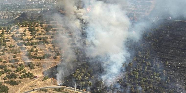 İzmir'de makilik alanda çıkan yangına havadan ve karadan müdahale ediliyor