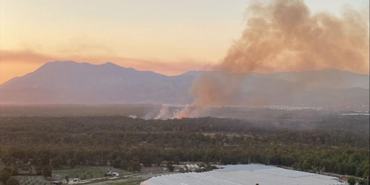 Kaş'ta ormanlık alanda yangın çıktı