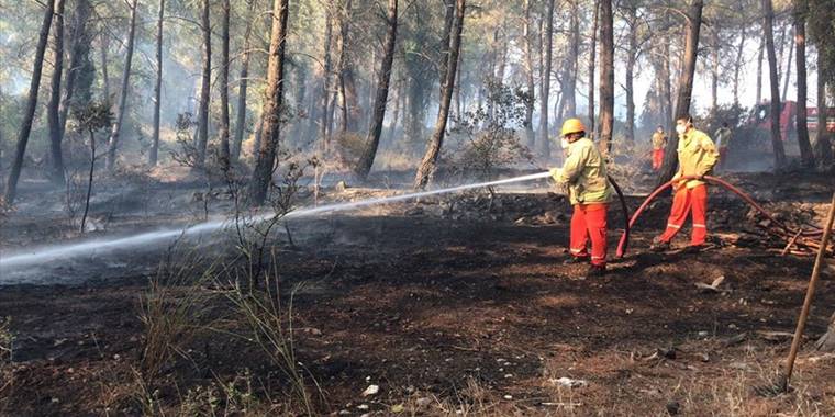 Antalya'nın Kumluca ilçesinde orman yangını çıktı