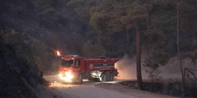 Denizli'de orman yangını çıktı