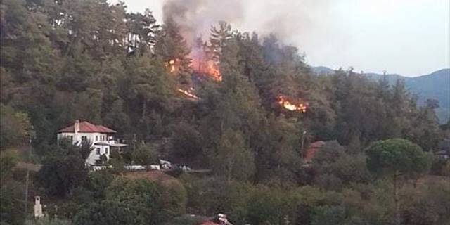 Muğla Ula'da orman yangını başladı
