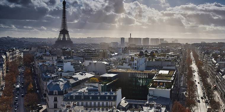 Fransa'da enerji krizi nedeniyle odun şirketlerinin hisseleri borsada yüzde 700 arttı