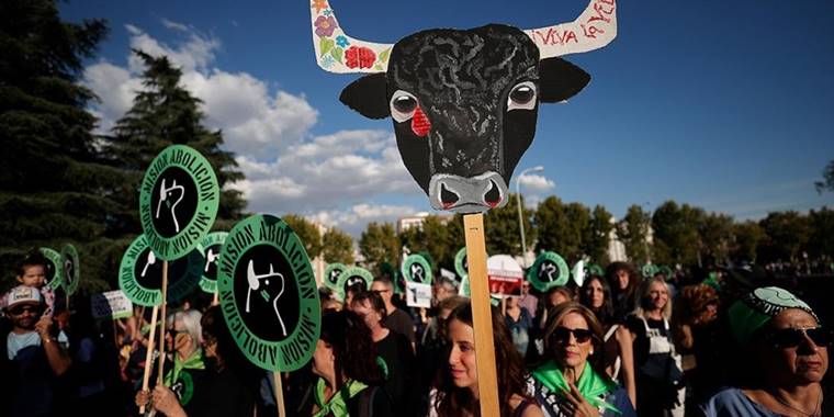 İspanya'da boğa güreşlerinin yasaklanması için Madrid'de gösteri düzenlendi
