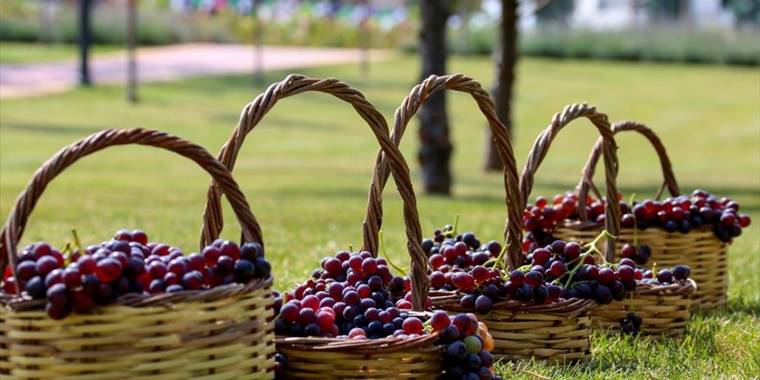 Konya'da Meram Bağları Projesi'nin açılışı yapıldı