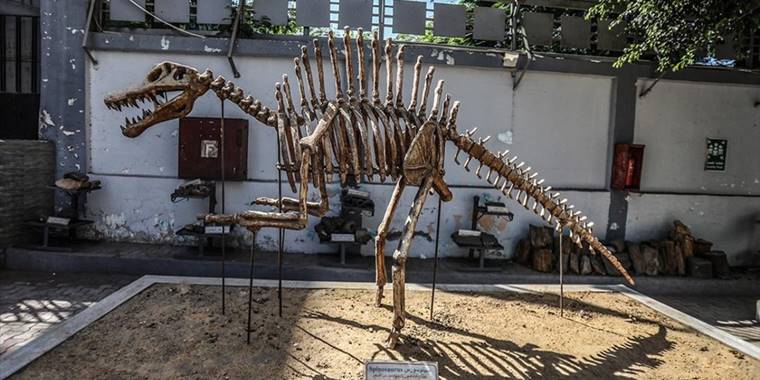 Orta Doğu ve Afrika'nın ilk yerbilim merkezi: Mısır Jeoloji Müzesi