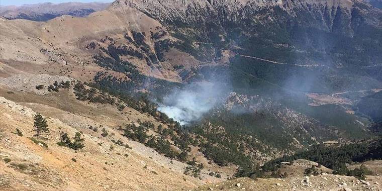 Adana'da çıkan orman yangınına müdahale ediliyor