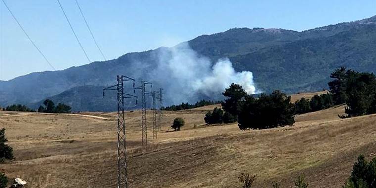 Kütahya'da çıkan orman yangınına müdahale ediliyor