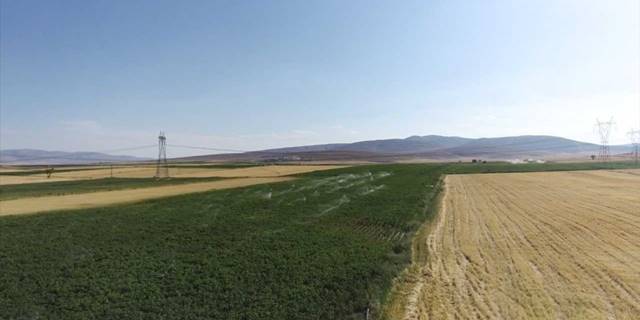 Bünyan-Sarıoğlan Sulaması ile 100 bin 900 dekar alan suya kavuştu