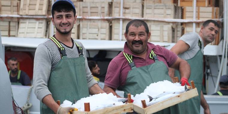 Batı Karadenizli balıkçılar limana bol palamutla döndü