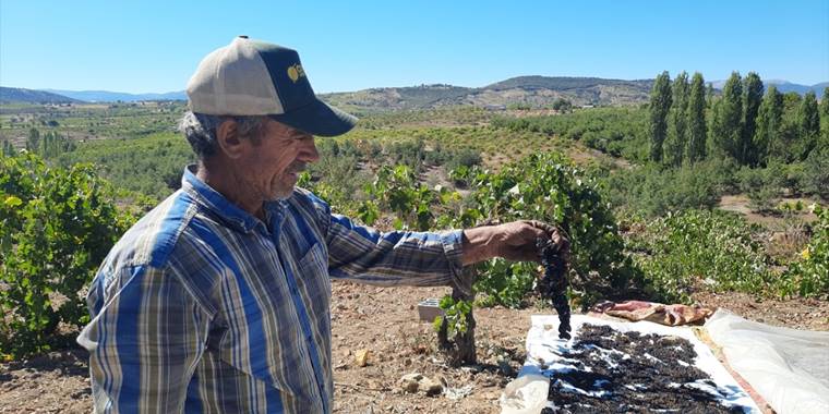 Bozkır'da aileler pekmez kaynatmaya başladı