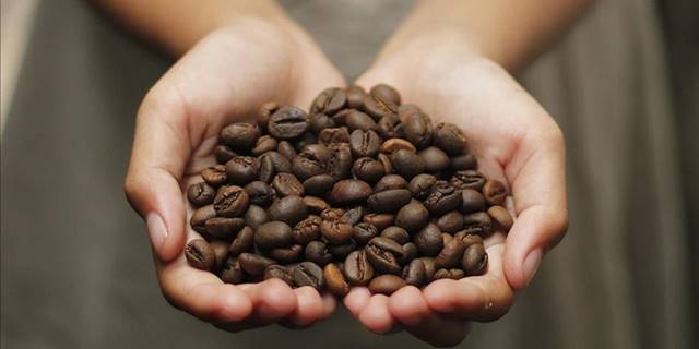 Kahve keyfinin sürmesi bilinçli üretime ve tüketime bağlı