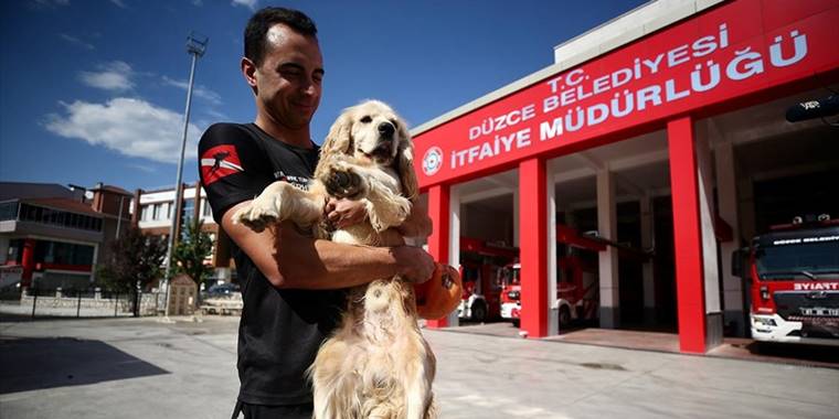 İtfaiyecilerin sahiplendiği köpek personelin yanından ayrılmıyor