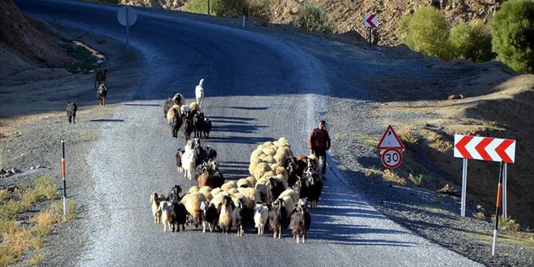 Muş'ta göçerlerin eve dönüş yolculuğu devam ediyor