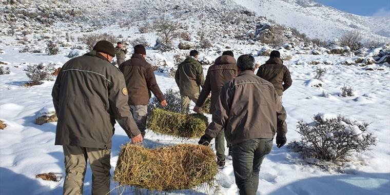 Yaban hayatının devamlılığı için yaz-kış görevdeler
