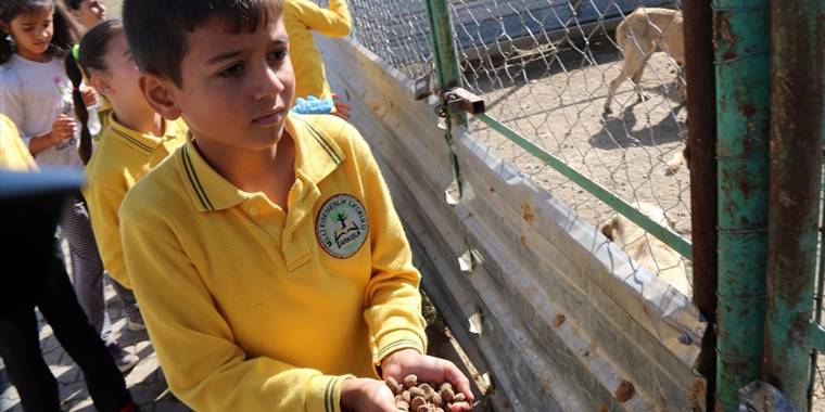 Şarkışla'da 4 Ekim Hayvanları Koruma Günü dolayısıyla etkinlik düzenlendi
