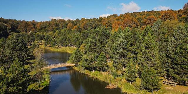 Domaniç Dağları sonbaharın sarı tonlarına bürünmeye başladı