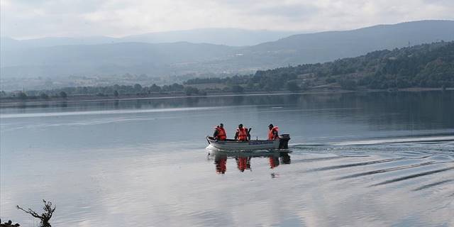 Bolu'daki Gölköy Barajı'nda kıyıya vuran ölü balıklar toplanıyor