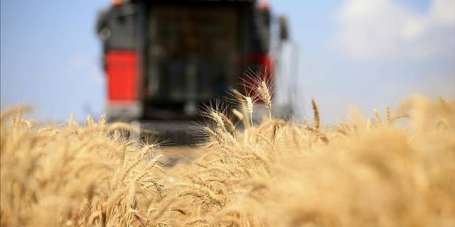 FAO: Küresel gıda fiyatları düşüşünü 6. aya taşıdı