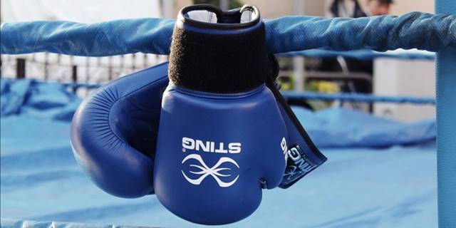 Kick boksta genç millilerden Dünya Şampiyonası'nda 49 madalya