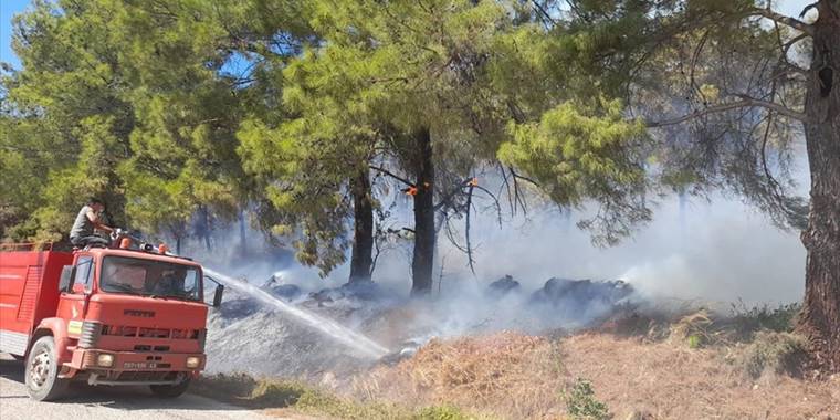 Antalya'da çıkan orman yangınına havadan ve karadan müdahale ediliyor