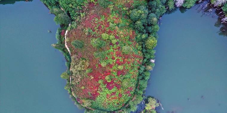 Borçka Karagöl Tabiat Parkı 9 ayda yaklaşık 410 bin kişiyi ağırladı