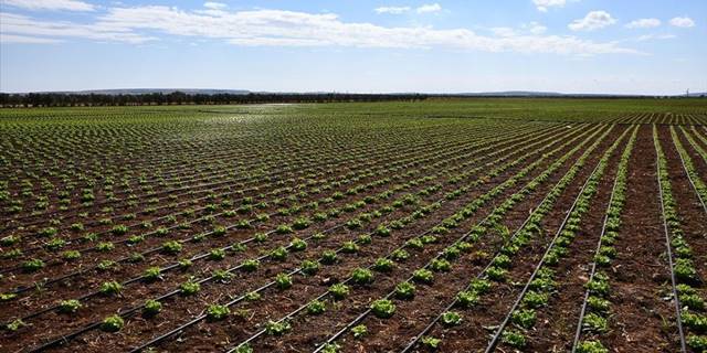 Modern sulama sistemleriyle yaklaşık 87 bin olimpik havuzluk su tasarrufu sağladılar