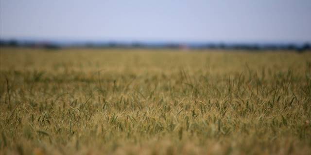 Tarım yılında yağışlar bir önceki döneme göre yüzde 18 arttı