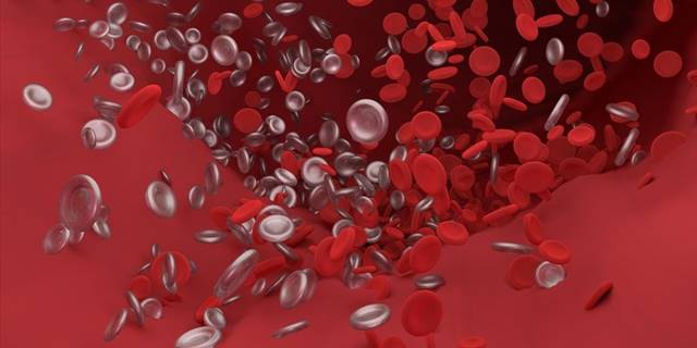 Damar sistemini tıkayan tromboz, basit önlemlerle engellenebilir