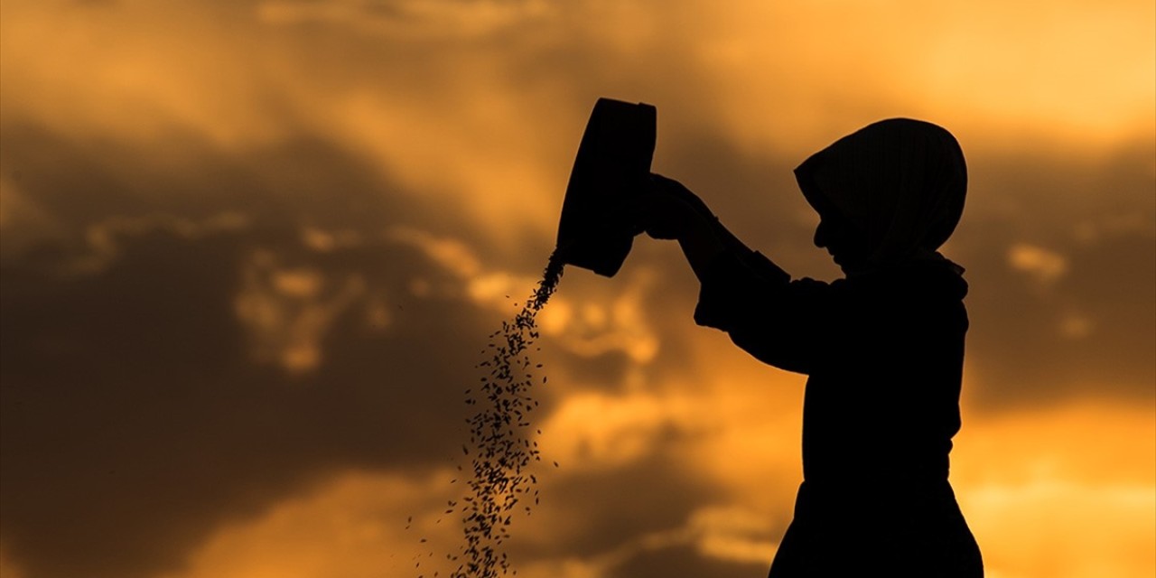 Tarım ve Orman Bakanlığından 3,6 milyon kadın çiftçiye eğitim