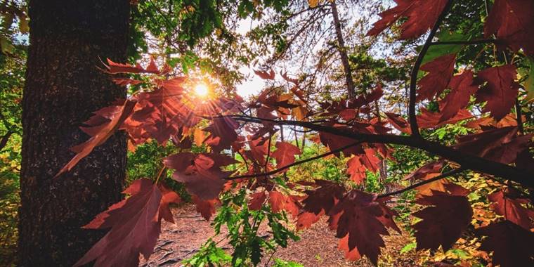 Kızılcahamam sonbahar renklerine büründü