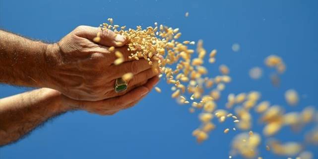 Gıda krizi milyonlarca kişinin hayatını tehdit ediyor