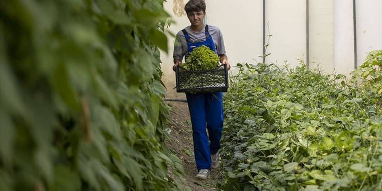 Tarım liseleri dünyadaki iyi model uygulamalarla yeniden şekillendirilecek