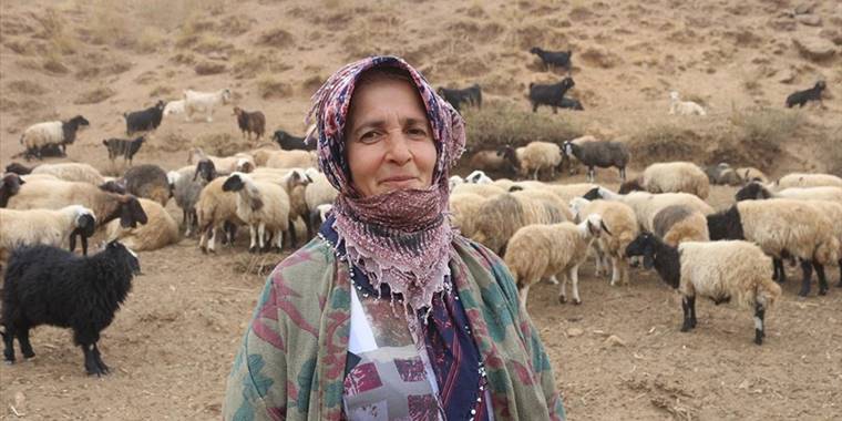 İzlediği haber sayesinde sürü sahibi oldu