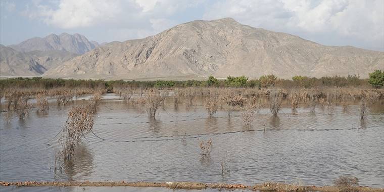 Selin vurduğu Pakistan'da tahıl üretiminin yarı yarıya düşeceği tahmin ediliyor