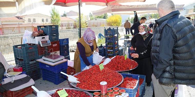 Başkentin dağlarında yetişen yaban meyveleri pazarcıların geçim kaynağı oldu